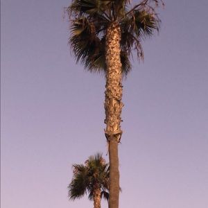 Meet your Posher, Mariam